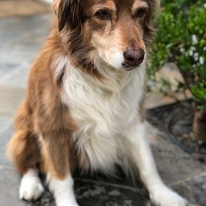 Meet your Posher, Pam